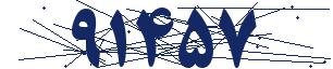 کد امنیتی